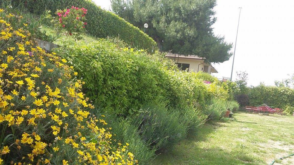 La Casa Di Stefania Lejlighed Pollutri Eksteriør billede